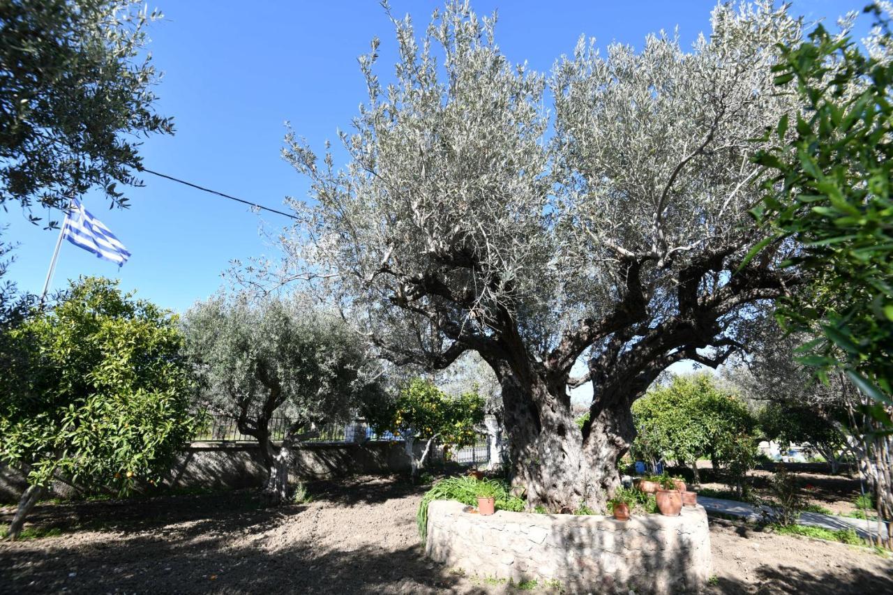 Villa Kavalino Kolymbia Dış mekan fotoğraf
