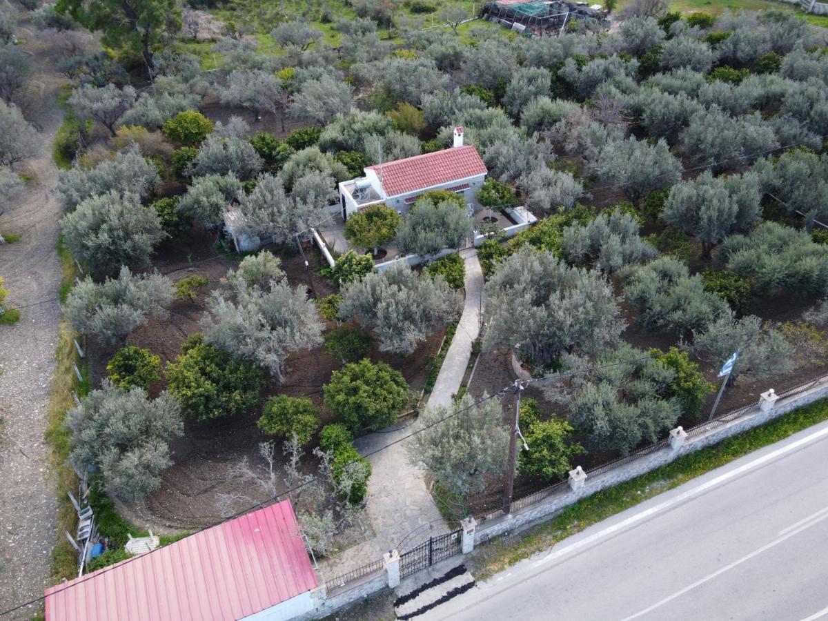 Villa Kavalino Kolymbia Dış mekan fotoğraf