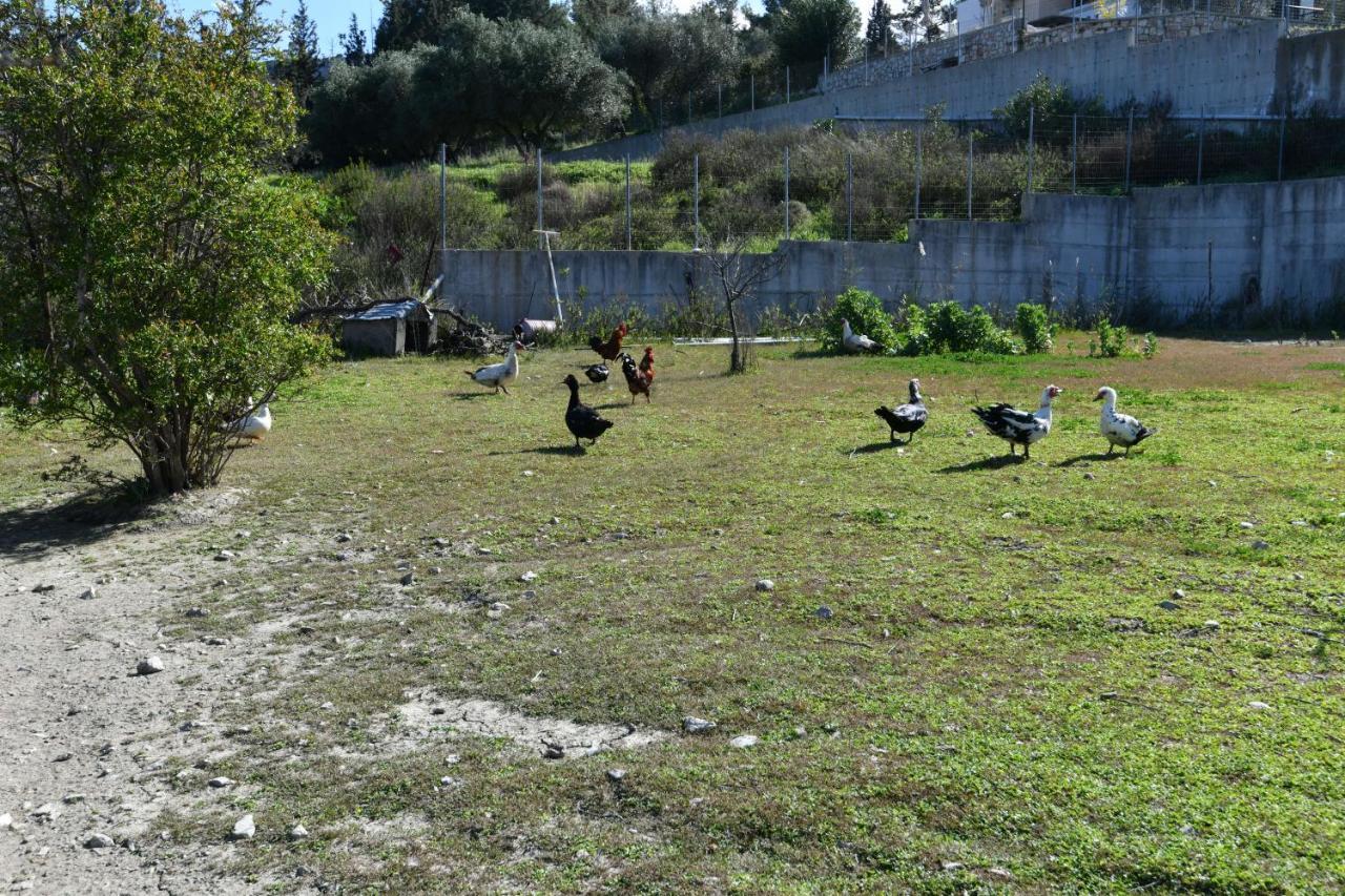Villa Kavalino Kolymbia Dış mekan fotoğraf