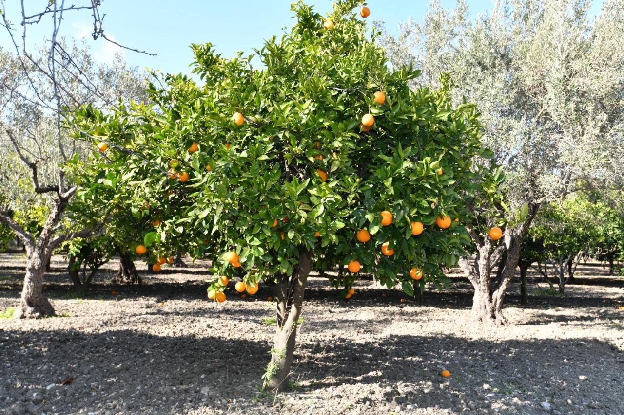 Villa Kavalino Kolymbia Dış mekan fotoğraf